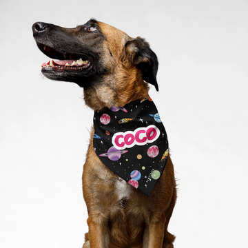 PawsIndia Customized Pet Bandana - Space Print